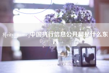 咸宁中国执行信息公开网是什么东西