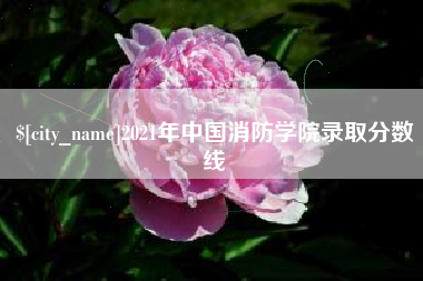 咸宁2021年中国消防学院录取分数线