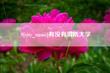 咸宁有没有消防大学