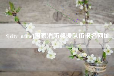 咸宁国家消防救援队伍报名网址