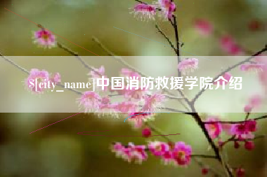 咸宁中国消防救援学院介绍