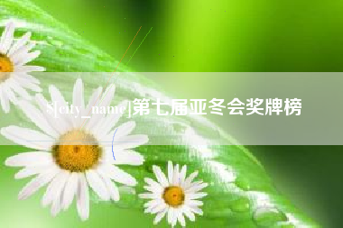 咸宁第七届亚冬会奖牌榜