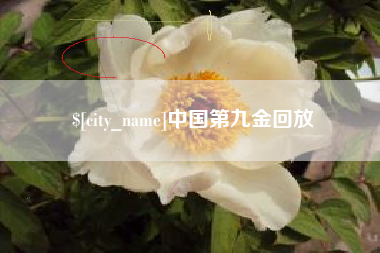 咸宁中国第九金回放