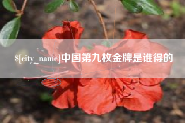咸宁中国第九枚金牌是谁得的