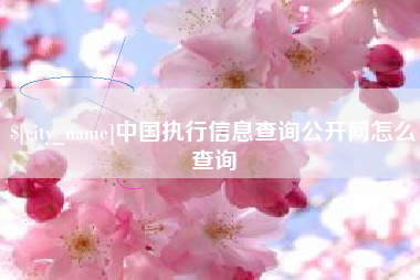 咸宁中国执行信息查询公开网怎么查询