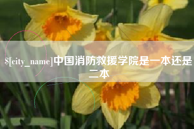 咸宁中国消防救援学院是一本还是二本