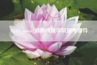 咸宁消防救援学院报考条件