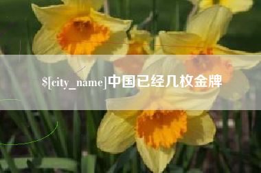 咸宁中国已经几枚金牌