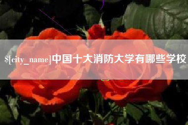 咸宁中国十大消防大学有哪些学校
