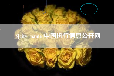 咸宁中国执行信息公开网