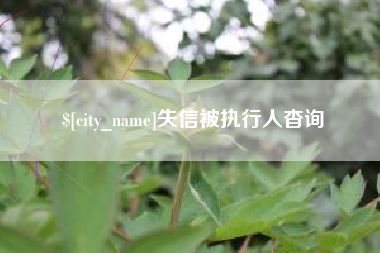咸宁失信被执行人杳询