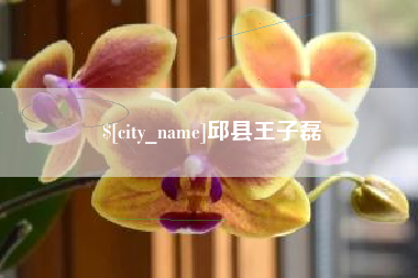咸宁邱县王子磊