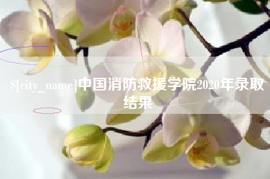 咸宁中国消防救援学院2020年录取结果