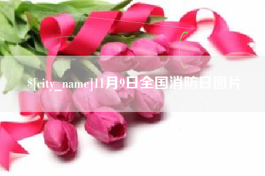 咸宁11月9日全国消防日图片