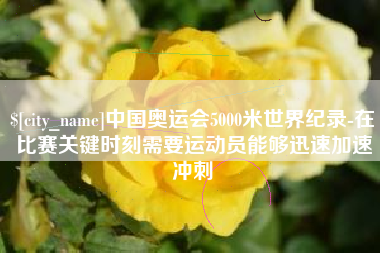 咸宁中国奥运会5000米世界纪录-在比赛关键时刻需要运动员能够迅速加速冲刺