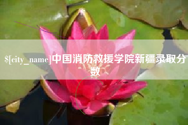 咸宁中国消防救援学院新疆录取分数