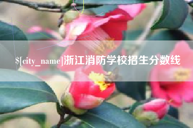 咸宁浙江消防学校招生分数线