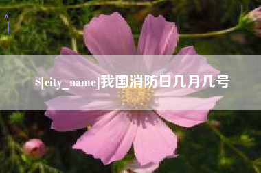 咸宁我国消防日几月几号