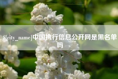 咸宁中国执行信息公开网是黑名单吗