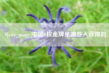 咸宁中国6枚金牌是哪些人获得的