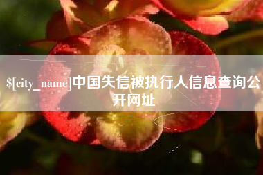 咸宁中国失信被执行人信息查询公开网址