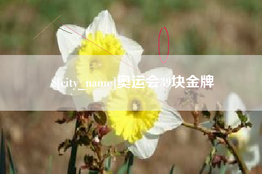 咸宁奥运会39块金牌