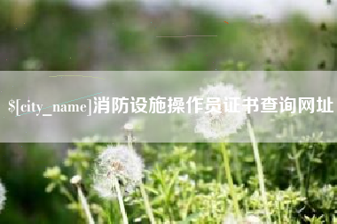 咸宁消防设施操作员证书查询网址