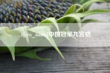 咸宁中国冠军九宫格