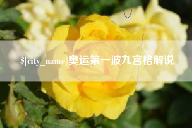 咸宁奥运第一波九宫格解说