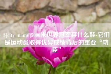 咸宁5000米世界冠军穿什么鞋-它们是运动员取得优异成绩背后的重要“功臣”