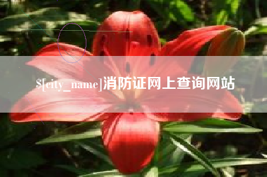 咸宁消防证网上查询网站