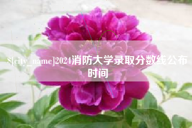 咸宁2024消防大学录取分数线公布时间