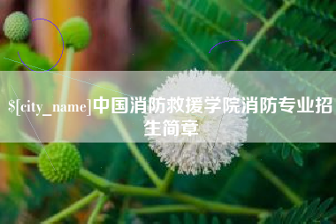咸宁中国消防救援学院消防专业招生简章