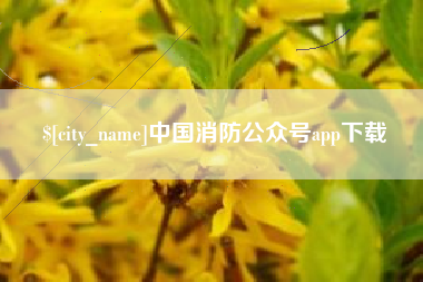 咸宁中国消防公众号app下载