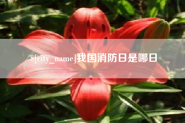 咸宁我国消防日是哪日