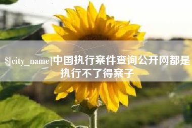 咸宁中国执行案件查询公开网都是执行不了得案子