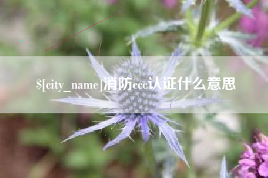 咸宁消防ccc认证什么意思