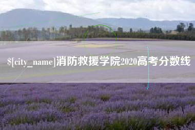 咸宁消防救援学院2020高考分数线