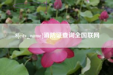 咸宁消防证查询全国联网