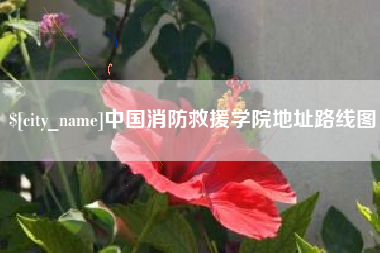 咸宁中国消防救援学院地址路线图