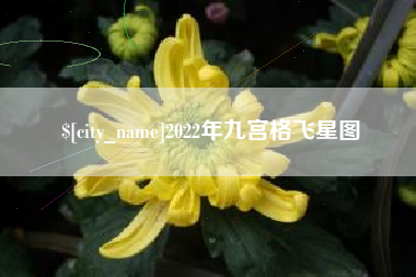 咸宁2022年九宫格飞星图