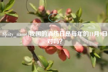 咸宁我国的消防日是每年的11月9日对吗？