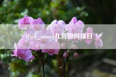咸宁九宫如何排日