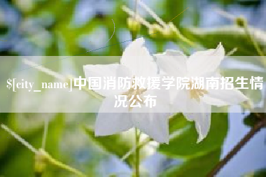 咸宁中国消防救援学院湖南招生情况公布