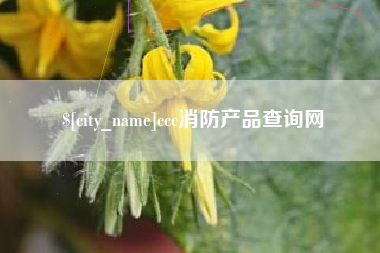 咸宁ccc消防产品查询网