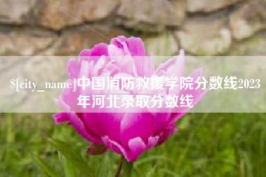 咸宁中国消防救援学院分数线2023年河北录取分数线