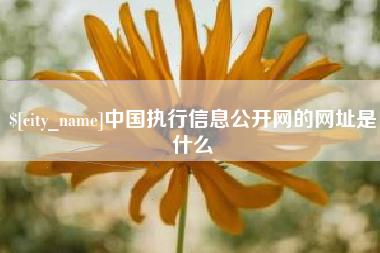 咸宁中国执行信息公开网的网址是什么