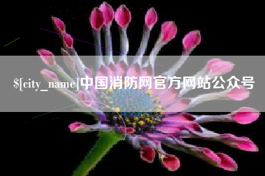 咸宁中国消防网官方网站公众号