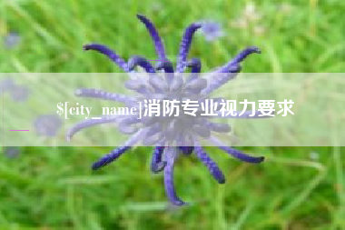 咸宁消防专业视力要求