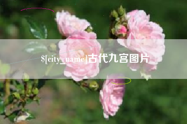 咸宁古代九宫图片
